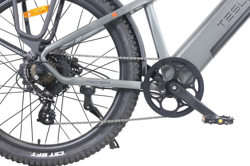 Purity Hybrid Elite 750W eBike (H3H) | 32 Km/hr Top Speed | 160 Km Range