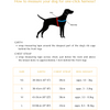 Canada One-Click Dog Harness