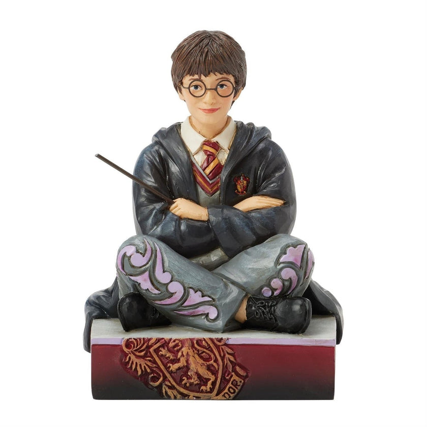 Harry Potter - Harry 