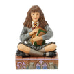 Harry Potter - Hermione with books 