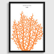 Henri Matisse - Le Corail 'Coral' | Exhibition Poster in Orange (available handframed or unframed)