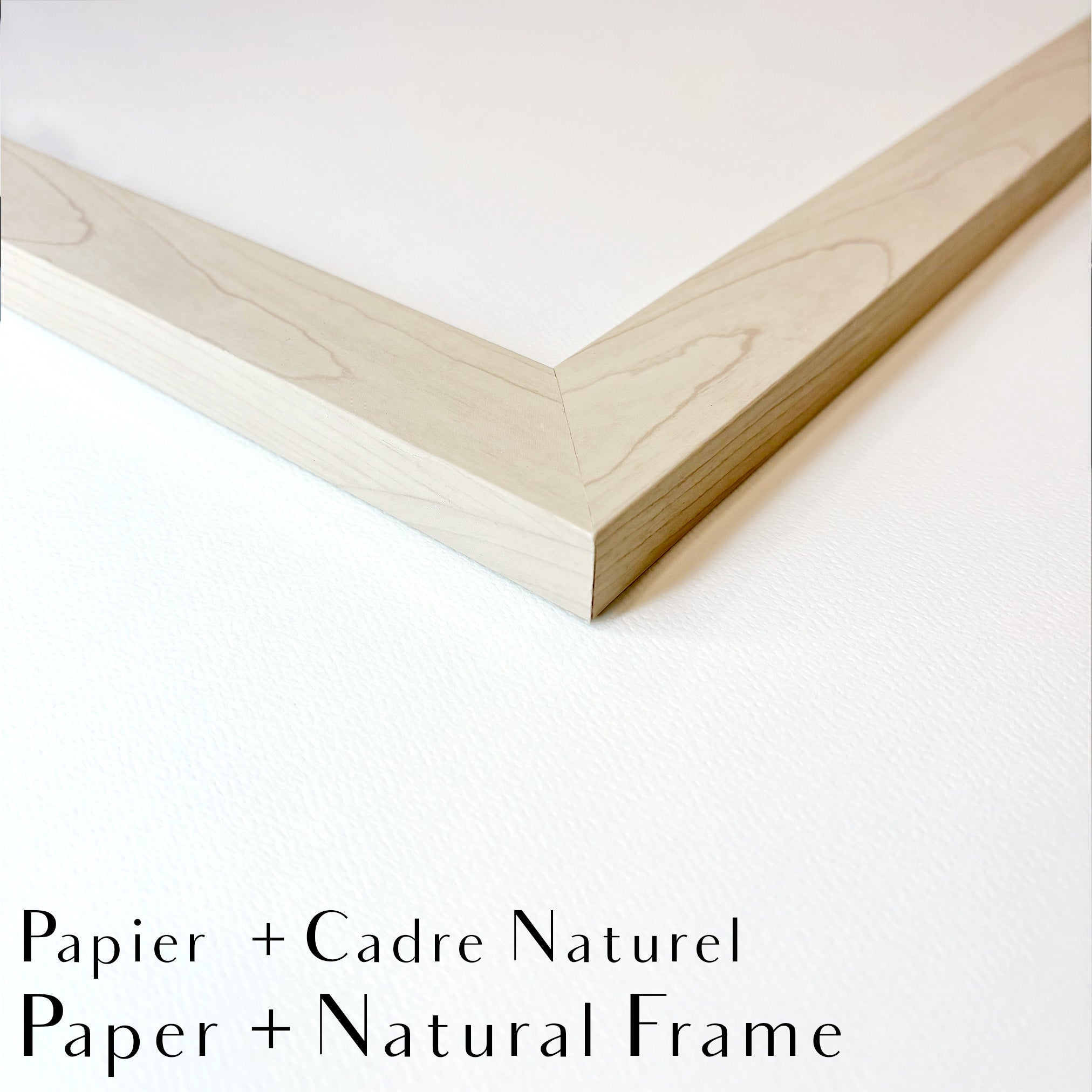 Highland Cow Portrait - art print