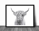 Highland Cow Portrait - art print