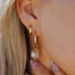 Honey Huggie Hoops -Gold