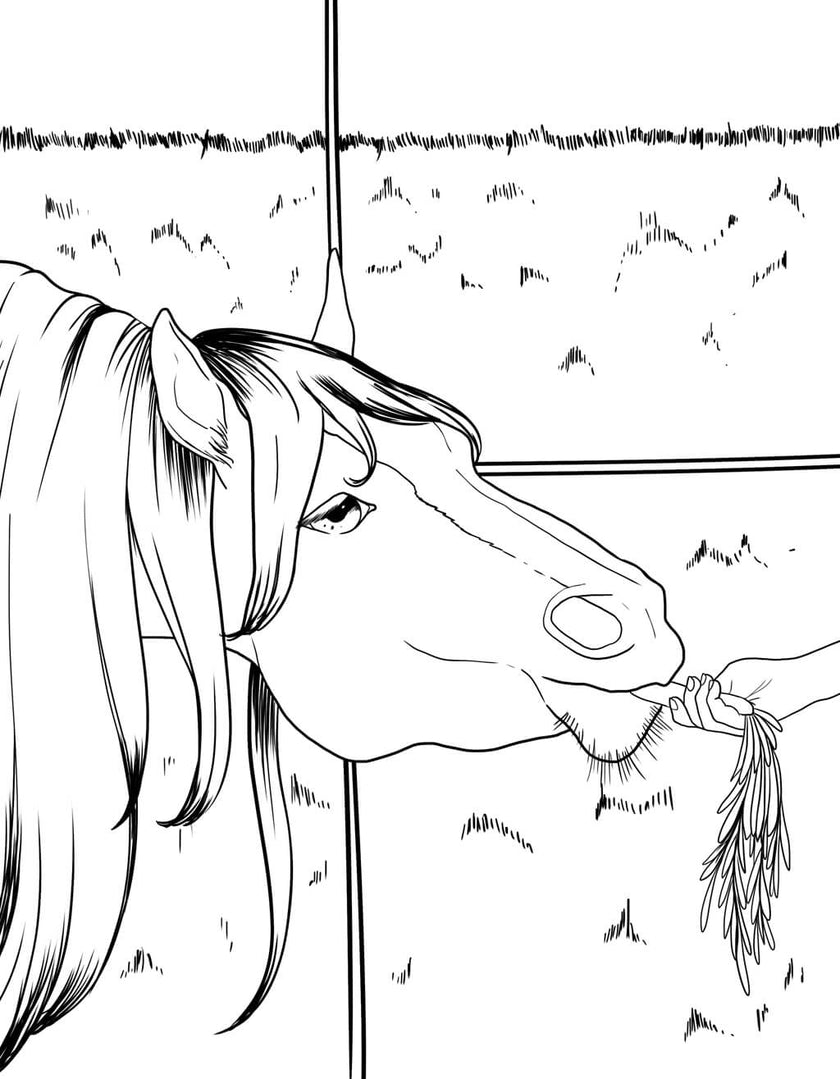 Horse Coloring Book (Spiral Edition)
