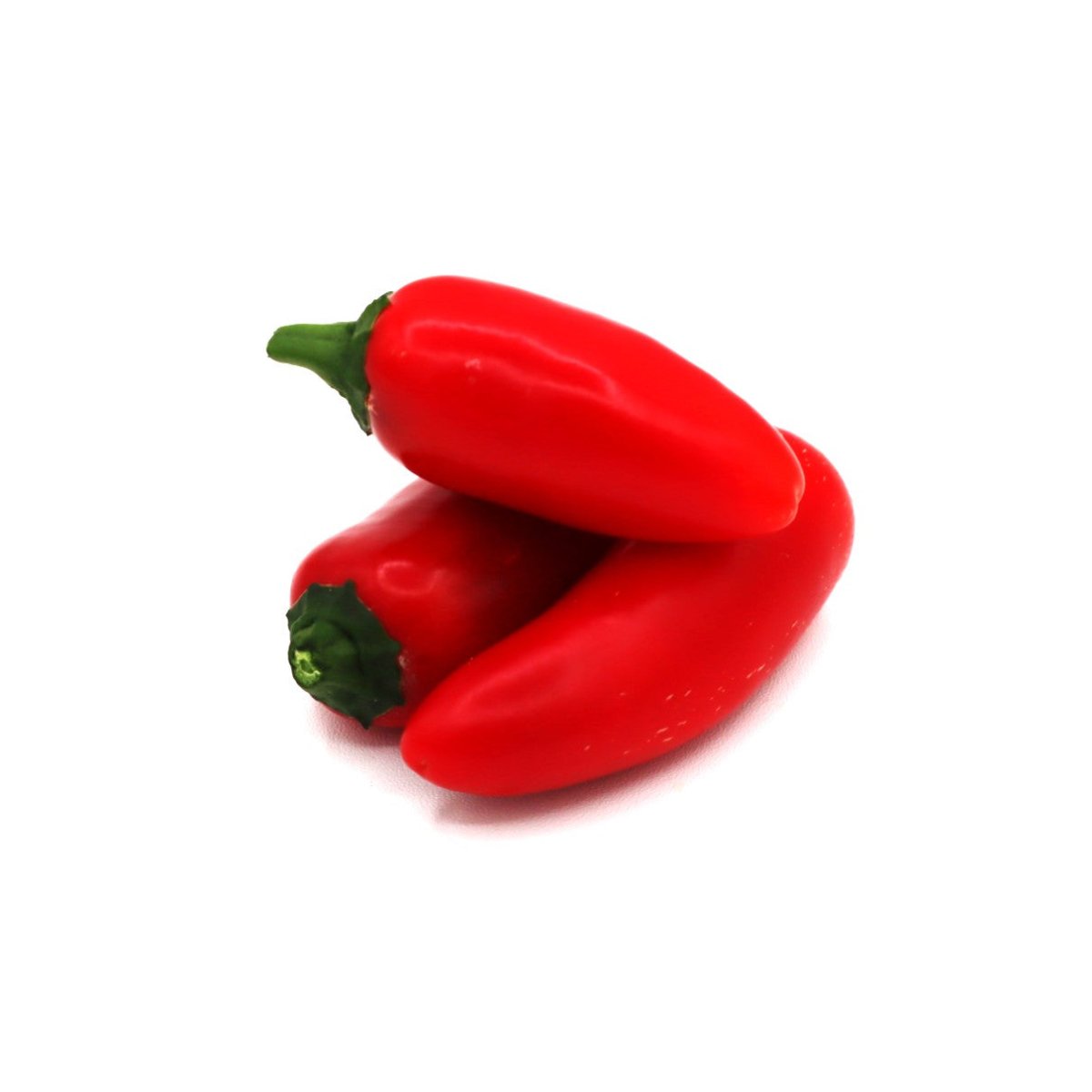 Hot Pepper - Jalapeno - Fresh Harvesting Fruiting Crop