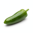 Hot Pepper - Jalapeno - Fresh Harvesting Fruiting Crop