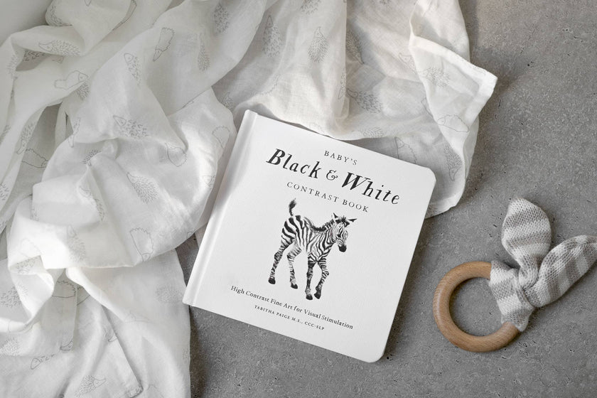 Paige Tate & Co. - Black and White Contrast Book