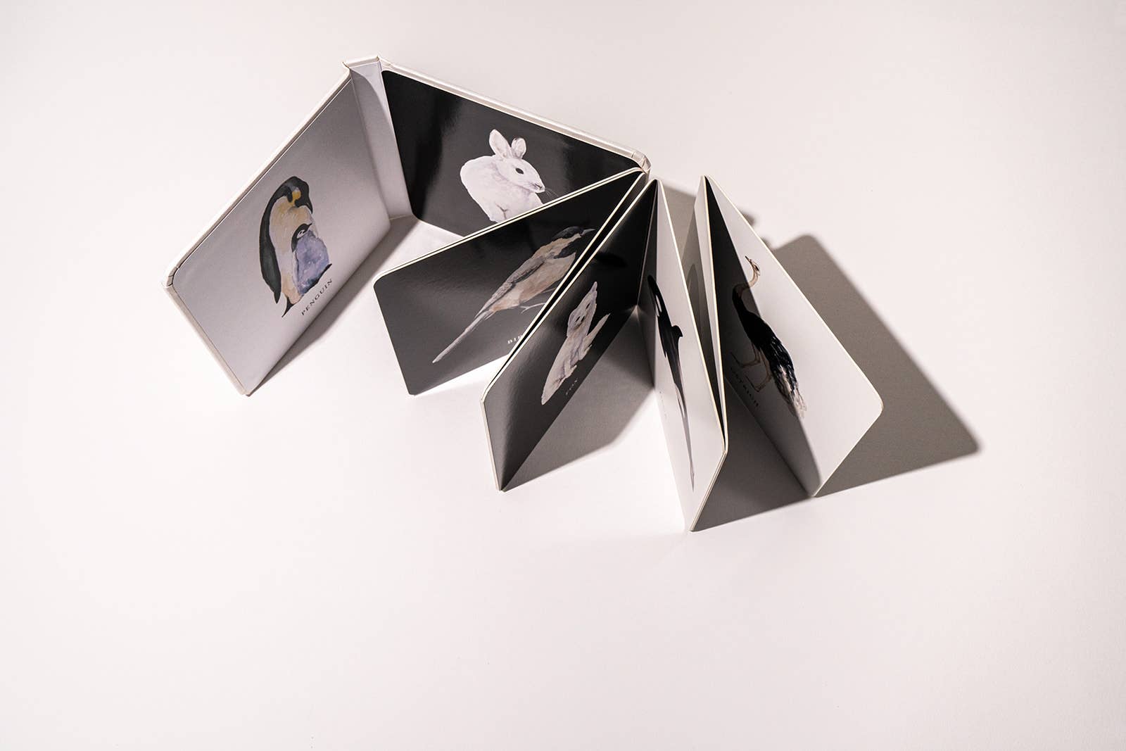 Paige Tate & Co. - Black and White Contrast Book