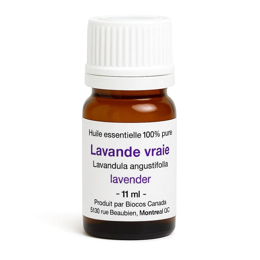 Lavande vraie