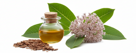 Huile d'asclépiade pure en flacon - hydratante pour la peau