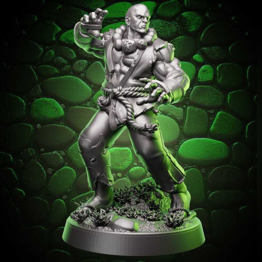 Human Monk | Stonefist | 5e