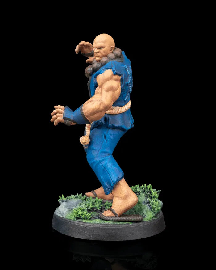 Human Monk | Stonefist | 5e