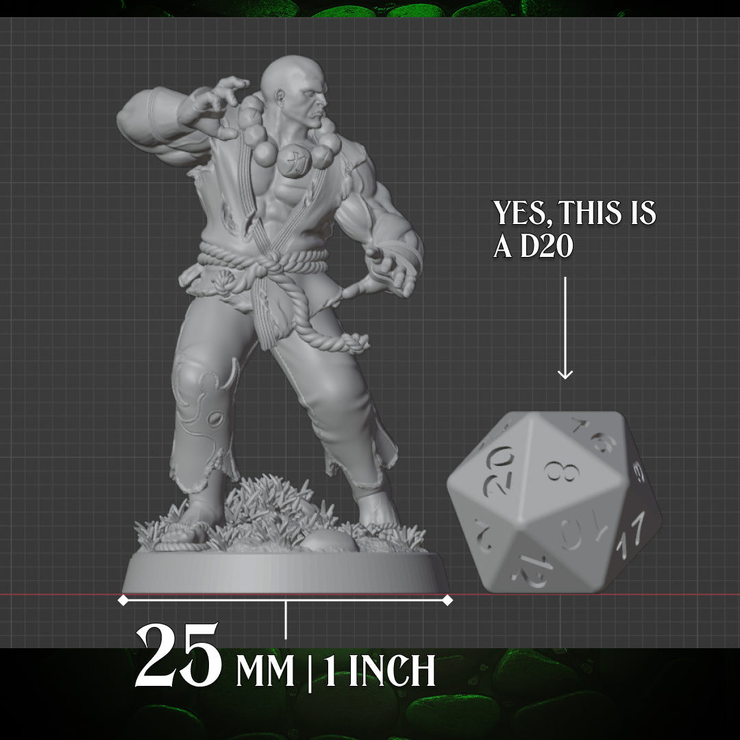 Human Monk | Stonefist | 5e