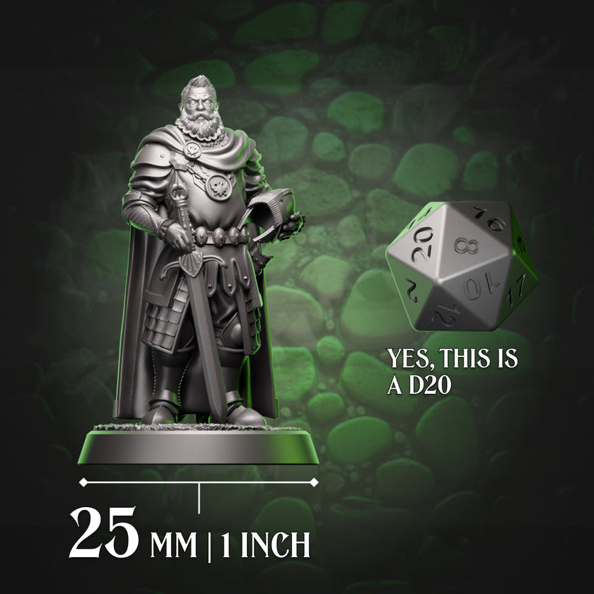Human Paladin | Grizzled  | 5e