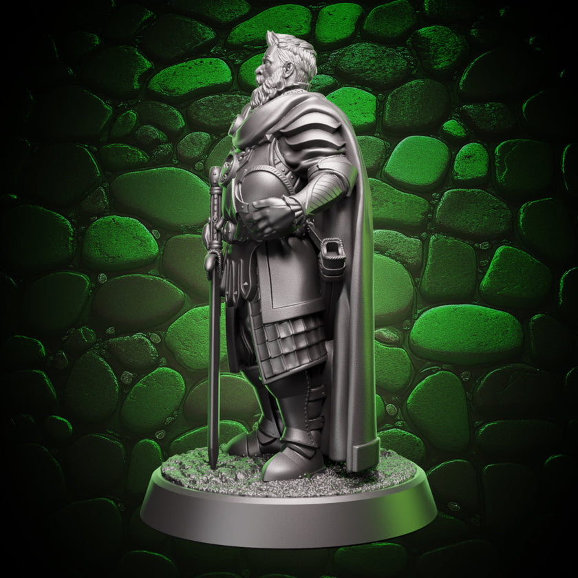 Human Paladin | Grizzled  | 5e