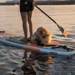 HYBRID PADDLE - Adjustable 2 or 3 pieces