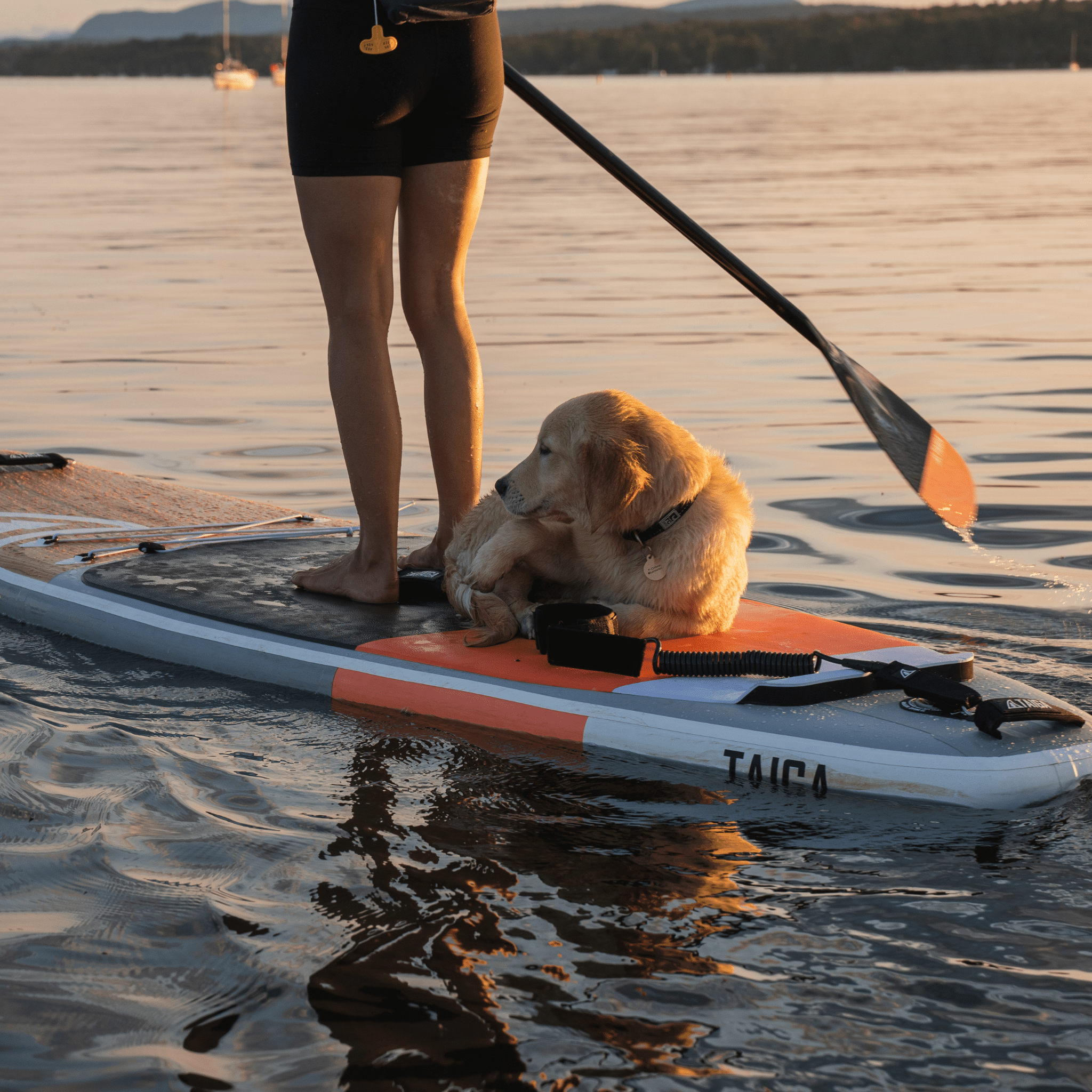HYBRID PADDLE - Adjustable 2 or 3 pieces