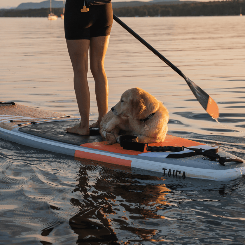 HYBRID PADDLE - Adjustable 2 or 3 pieces