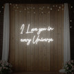 I Love You in Every Universe Neon Sign