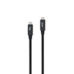 iStore - Charge & Sync USB-C to USB-C 31 Superspeed 5A Cable - Black (ACC1001CAI)
