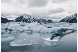 Hoffman Fabrics - Call of the Wild - Arctic Whale Panel #2