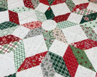 Mistletoe & Holly  54in x 54in Tree Skirt & Pot Holder Panel