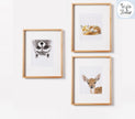 Fox Art Print