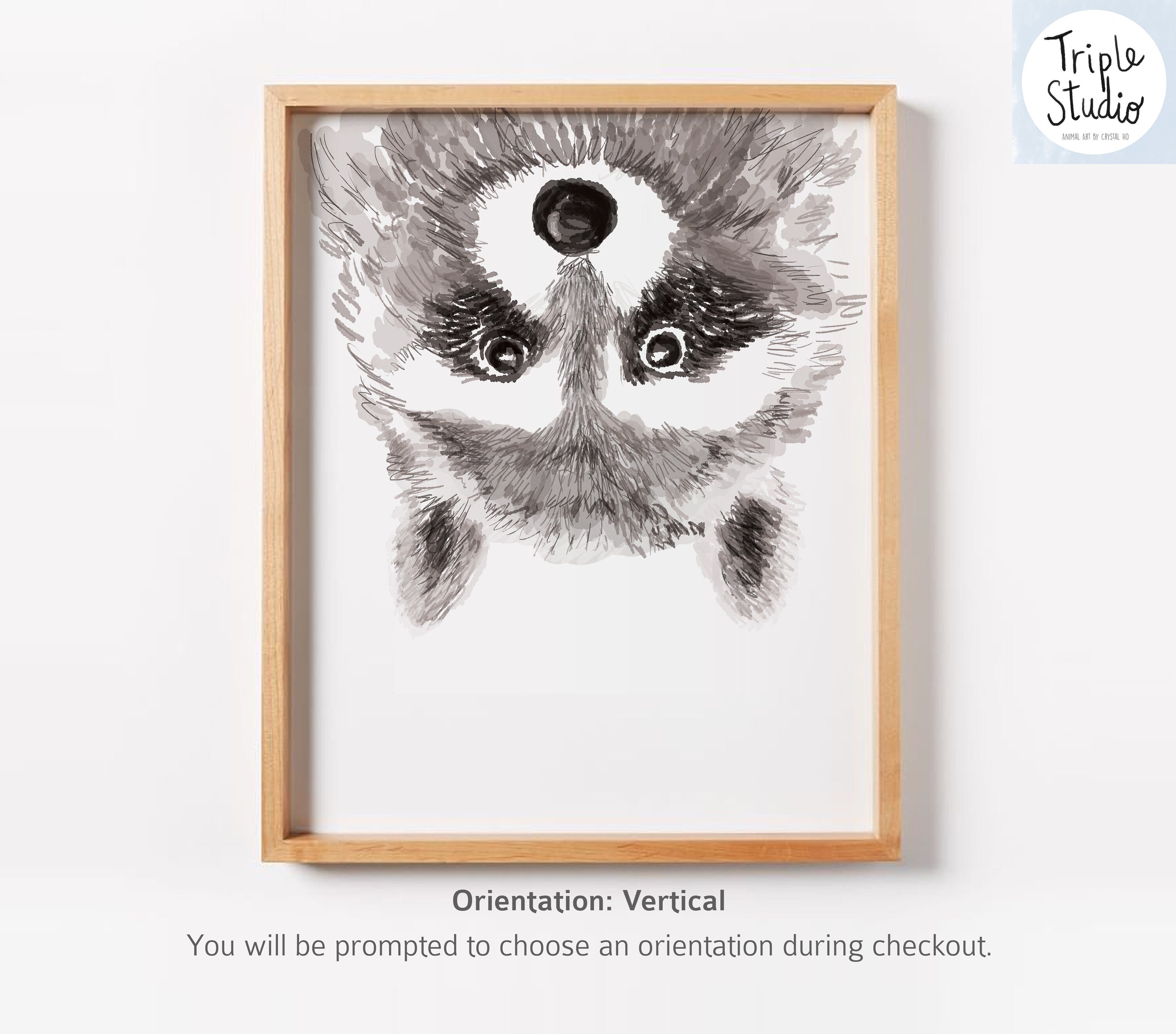 Raccoon Art Print