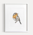 Robin Bird Art Print