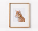 Shiba Inu Puppy Dog Art Print: Original Watercolor Painting