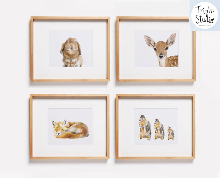 Squirrel Art Print