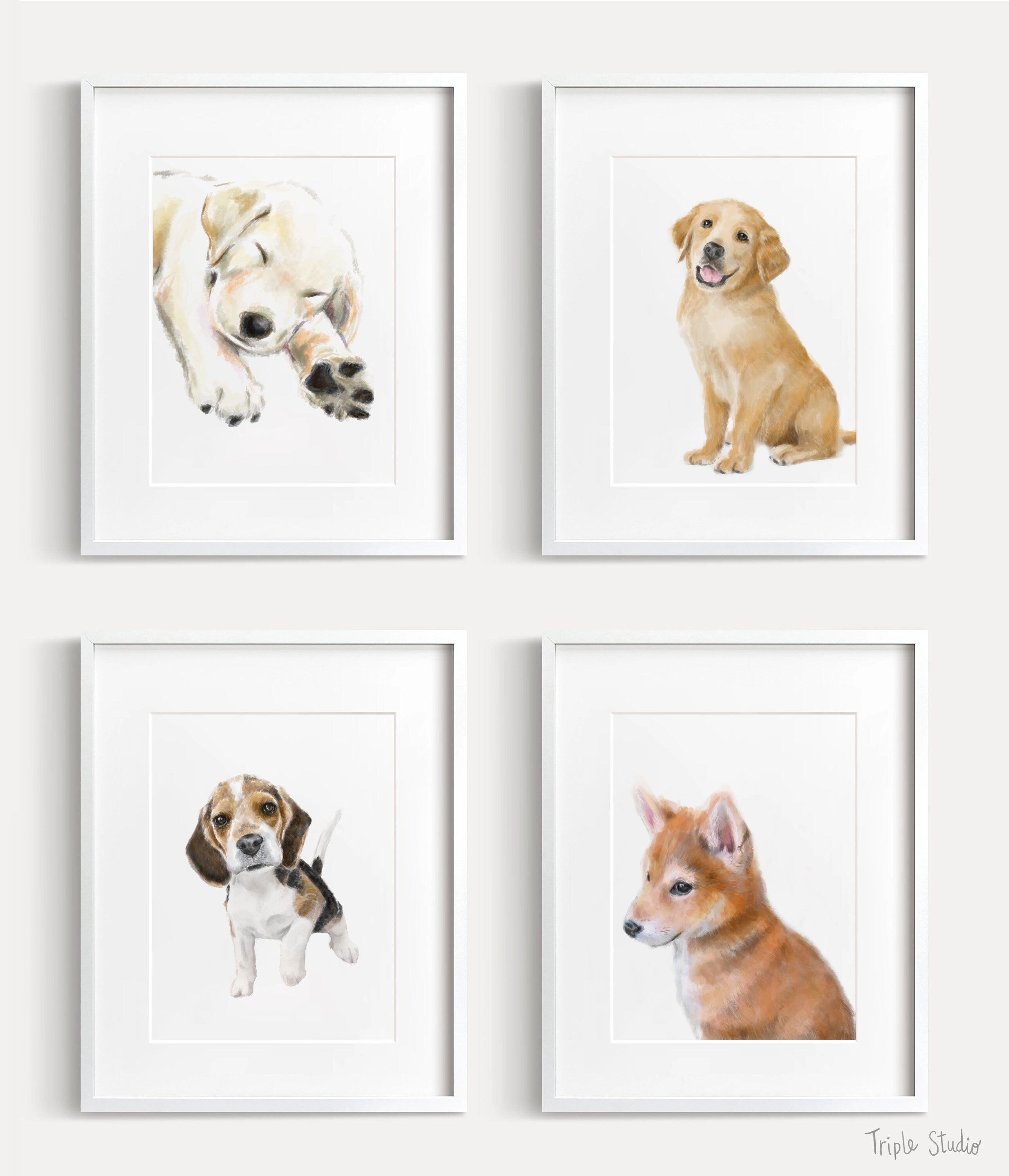 Shiba Inu Puppy Dog Art Print: Original Watercolor Painting
