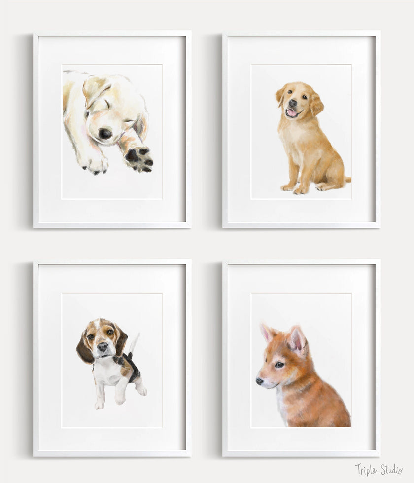 Shiba Inu Puppy Dog Art Print: Original Watercolor Painting