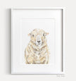 Farmhouse Sheep Art Print -