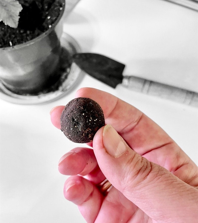 Kit - Seed Bomb - DIY Kits - Create your own Green Oasis - Canadian Wildflower