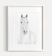 White Horse Wall Art Print