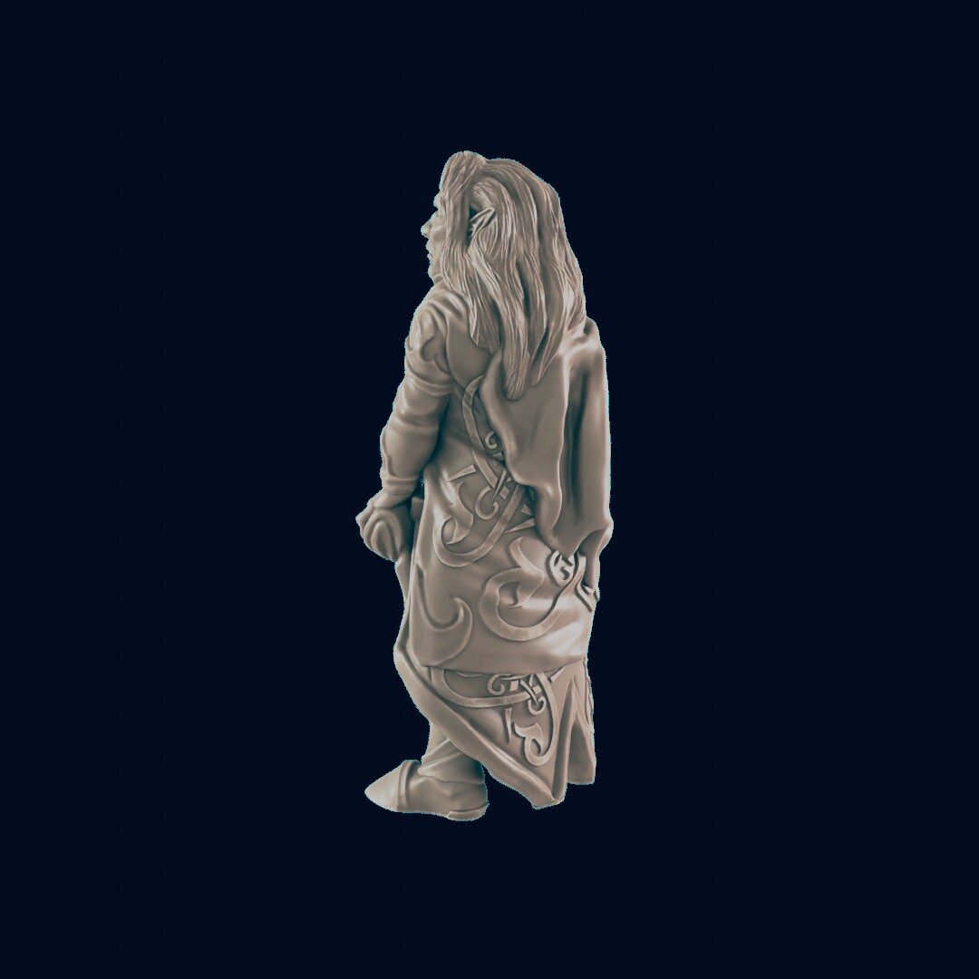 Elf Male Noble - EC3D | DnD | Elf | Villager minis | merchant | 32mm | Pathfinder | Noble | TTRPG | Wargaming
