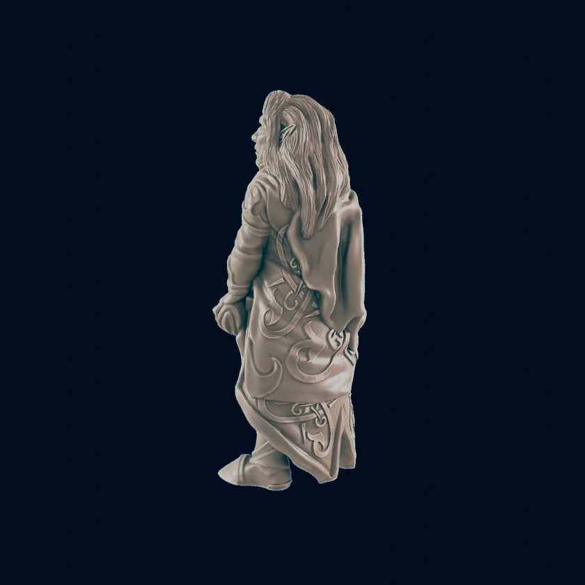 Elf Male Noble - EC3D | DnD | Elf | Villager minis | merchant | 32mm | Pathfinder | Noble | TTRPG | Wargaming