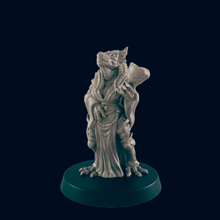 Dragonborn Female Noble - EC3D | DnD | Dragonborn | Villager minis | Commoner | 32mm | Pathfinder | Frostgrave | TTRPG | Wargaming