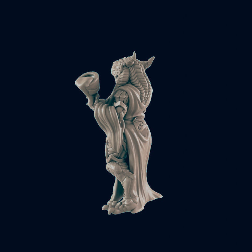 Dragonborn Female Noble - EC3D | DnD | Dragonborn | Villager minis | Commoner | 32mm | Pathfinder | Frostgrave | TTRPG | Wargaming