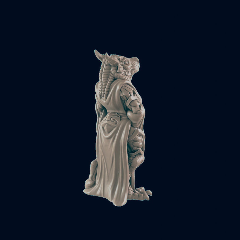 Dragonborn Female Noble - EC3D | DnD | Dragonborn | Villager minis | Commoner | 32mm | Pathfinder | Frostgrave | TTRPG | Wargaming