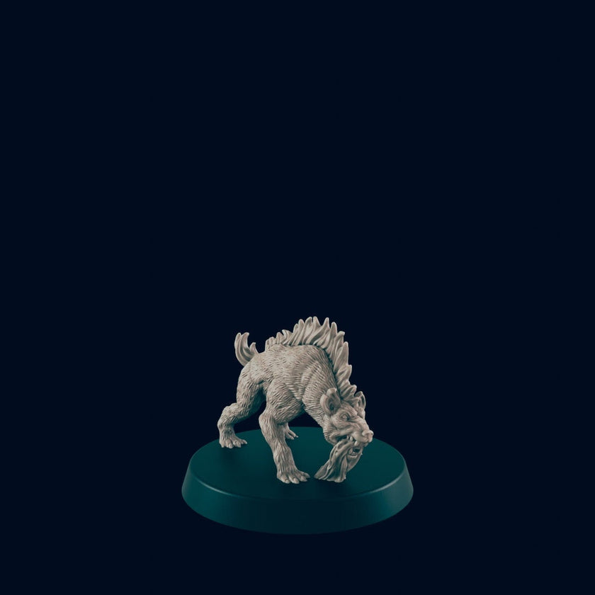 Gnoll Hunting Pack Mini Set - EC3D, DnD Monster | Archer, Melee 32mm | Pathfinder | Fantasy | Shaman | Wargaming | Frostgrave | Hyena | Set