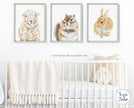 Farmhouse Sheep Art Print -
