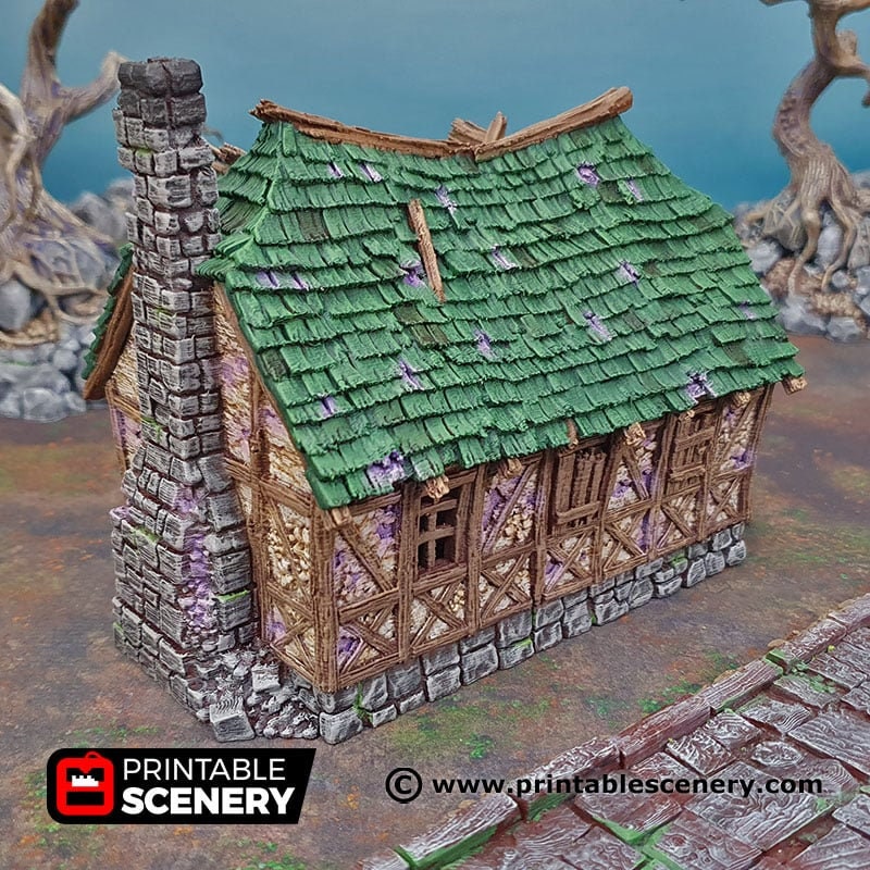 Mimic House - Shadowfey Ruins, DnD, Pathfinder 15mm, 28mm, 32mm, wargaming terrain, haunted, scatter, building, medieval