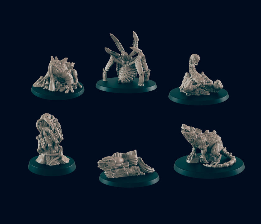 6 Giant Creature Miniature Pack - EC3D | DnD | Centipede | Spider | Toad | Rat | Eel | Scorpion | 28mm 32mm | Pathfinder | Monster | TTRPG