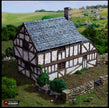 Wattle And Daub Hollyhock Cottage - King and Country, dnd Medieval building, Village, Town, Wargaming Terrain, Scatter scenery, House