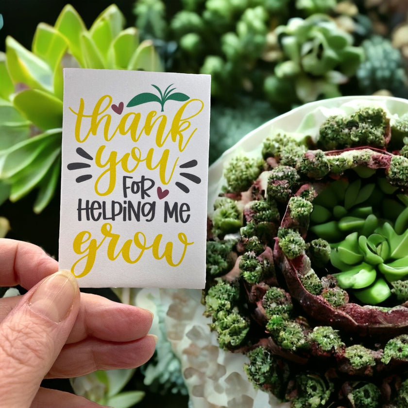 Seed Packages - Teacher Gift - Appreciation gift for educators - Includes 10 Packages of Canadian Wildflowers Seeds