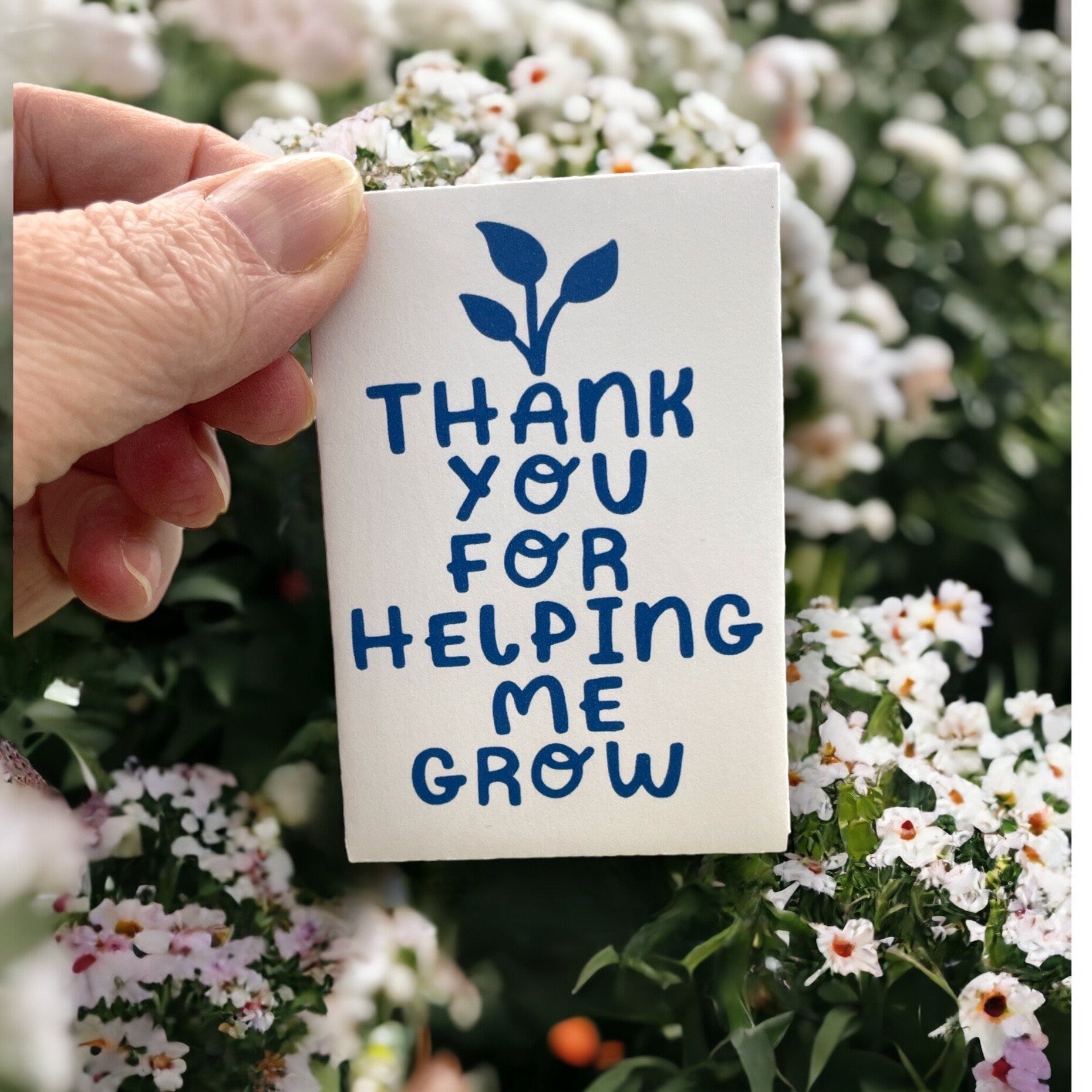 Seed Packages - Teacher Gift - Appreciation gift for educators - Includes 10 Packages of Canadian Wildflowers Seeds