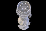 Pirate Lighthouse - Pirates vs. Sailors Nightmare At Sea - DnD, Wargaming, Ocean, Boat, Ship, Tortuga, Black Flag, Age of Sail, Caribbean